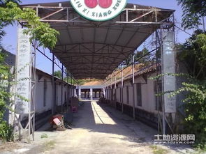 良口鎮250畝農產綜合體整體承接 果園魚塘添活力，加工廠房助騰飛