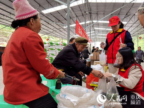 國網重慶電力助脫貧 將幫扶工作落到實處，農副產品點亮新生活
