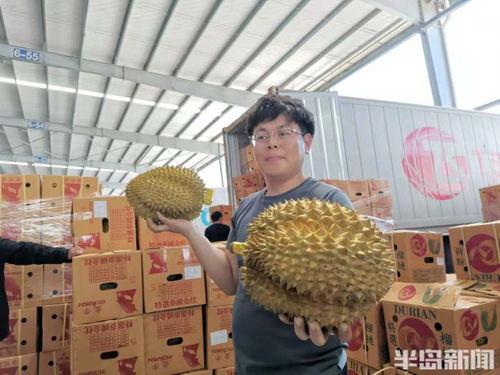 白菜車賣榴蓮 有人賺得寶馬，有人賠進千萬——榴蓮為何惹人“留戀”？